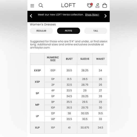 Classy Ann Taylor Loft Wool NWT - Picture 7 of 7